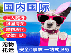 鄂州花湖机场快递国际宠物托运 【国